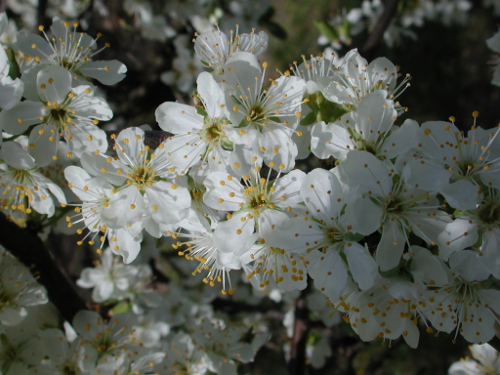 Dolmayrac, un circuit panoramique
