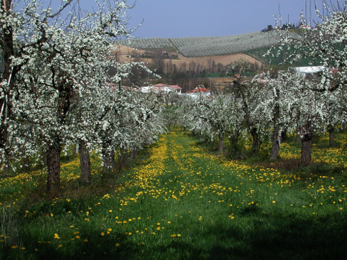 Dolmayrac, un circuit panoramique, Dolmayrac