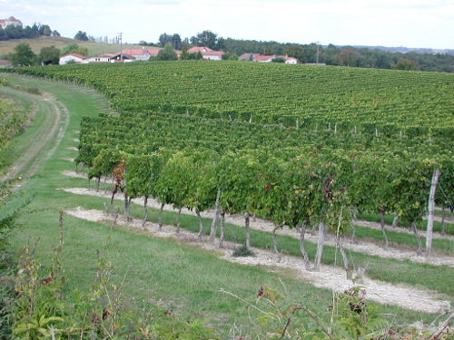 Bernac, randonnée autour du château de Théobon, Loubès-Bernac - photo 3