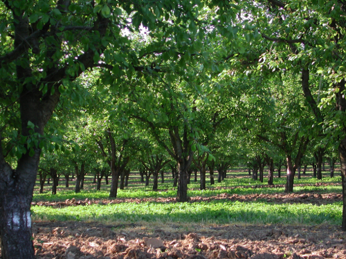 Sembas, la boucle de Lacenne, Sembas
