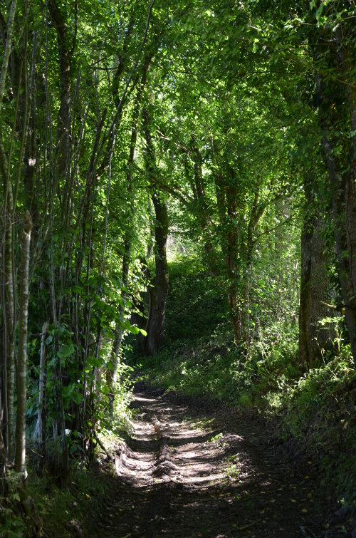 La Croix-Blanche, la balade de Bézille, La Croix-Blanche - photo 3