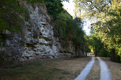 Saint-Pastour, une bastide de hauteur, Saint-Pastour - photo 10