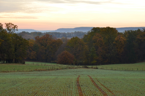 Lacaussade, la balade du bois de Grèzelongue, Lacaussade