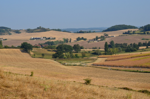 Saint-Pierre-de-Caubel, la balade de Darbe Feuille, Pinel-Hauterive - photo 4