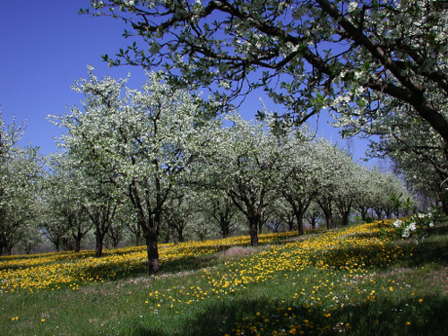 Laparade, une longue randonnée vers St-Pierre, Laparade