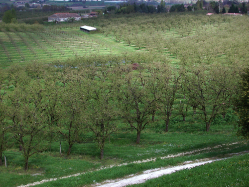 Monteton, randonnée vers les bois de Chavaneau, Monteton - photo 2