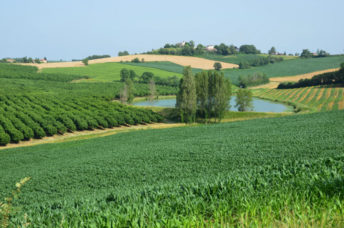 Hautesvignes, balade de lacs en vergers