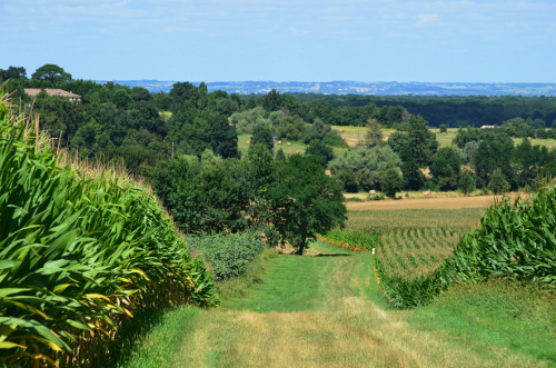 Sainte-Gemme, randonnée dans les collines Gasconne, Sainte-Gemme-Martaillac - photo 2