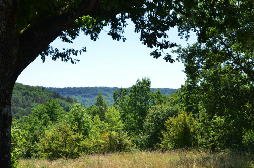 La Croix-Blanche, la balade du Bernou, La Croix-Blanche - photo 7
