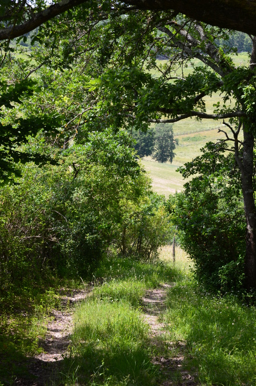Sainte-Colombe-de-Villeneuve, vers l'église du Laurier, Sainte-Colombe-de-Villeneuve