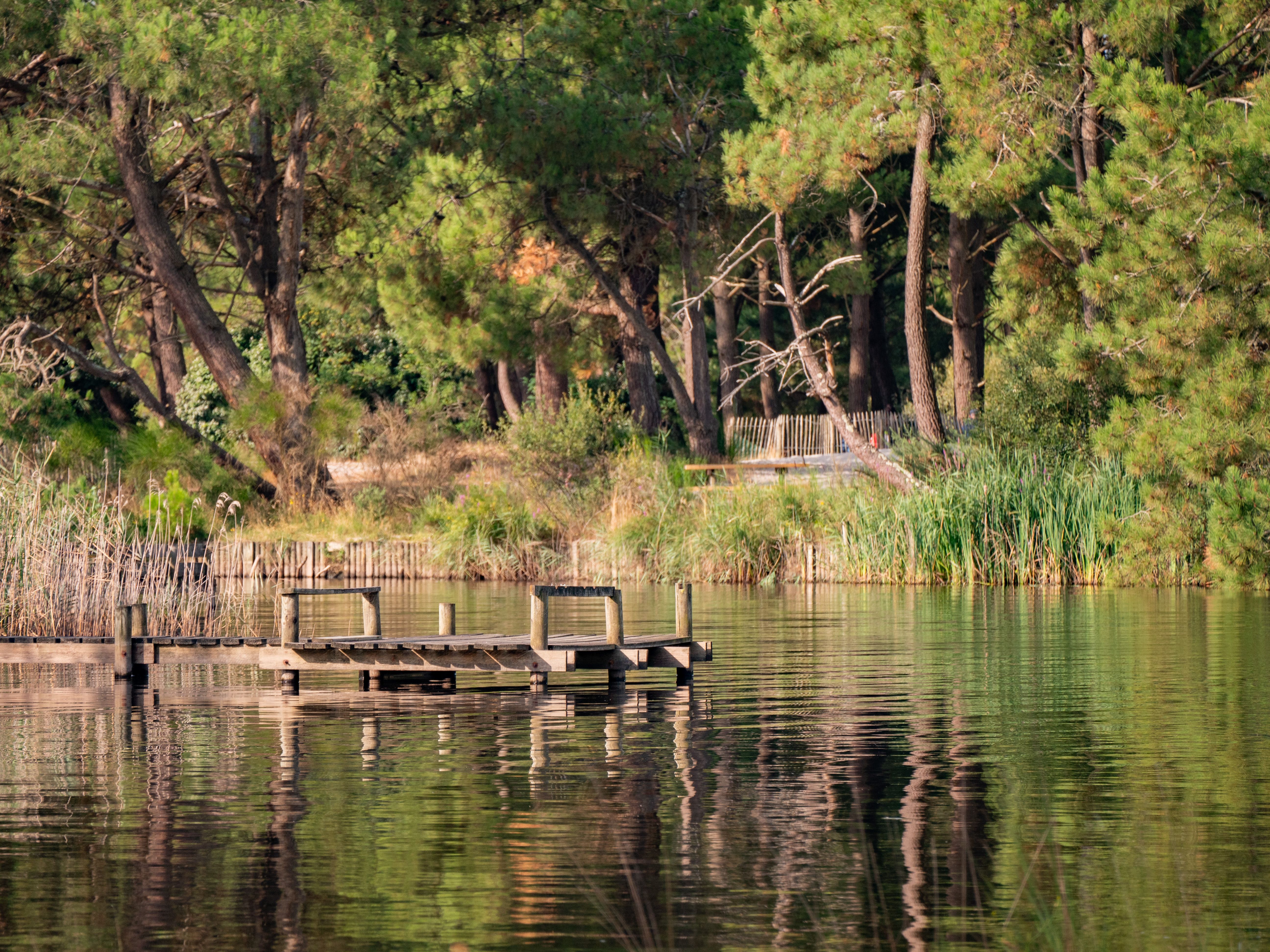 Les Pistes de Robin : Hourtin-Port - photo 2