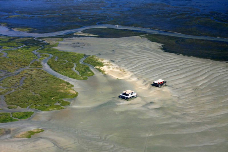 L'Ile aux Oiseaux