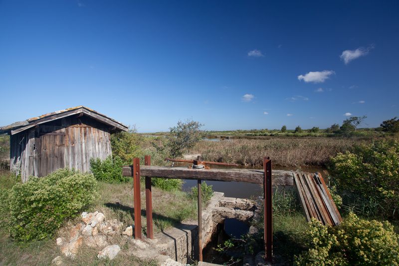 Ile de Malprat, Biganos - photo 5