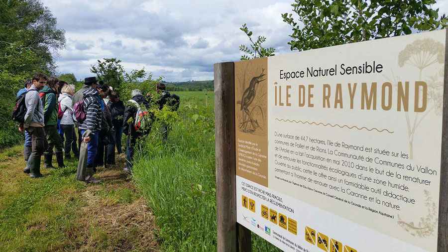 Lestiac-sur-Garonne, entre coteaux et forêt - photo 3