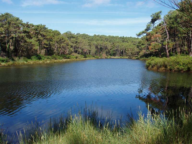 Réservoirs de Piraillan, Lège-Cap-Ferret - photo 8