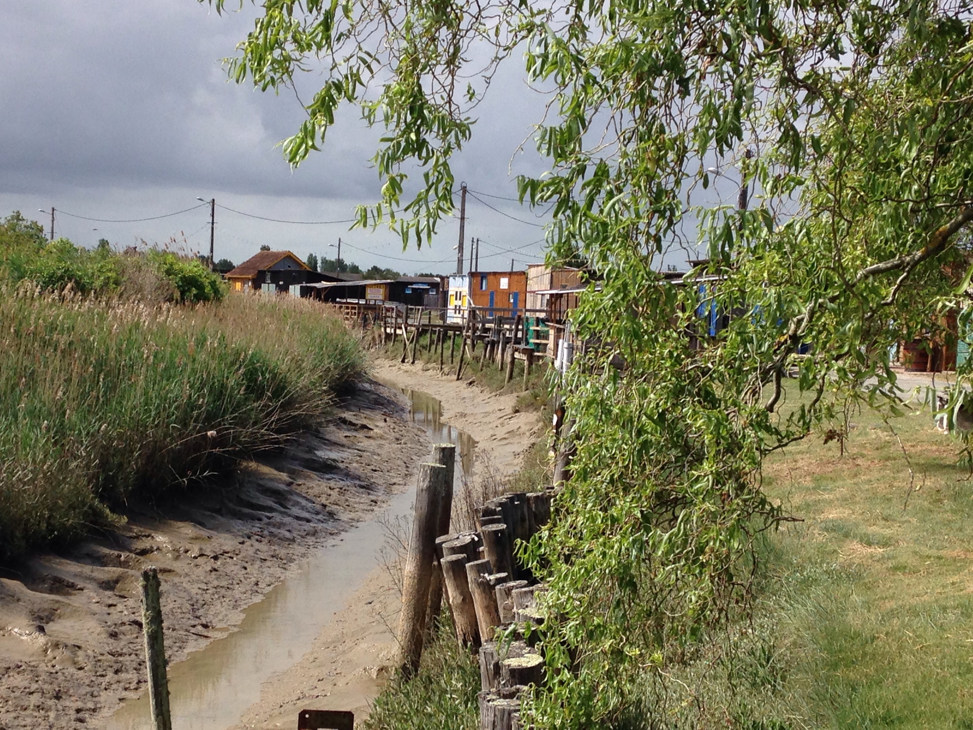 Le Vieux Port - L'ancien port aux huîtres - photo 2