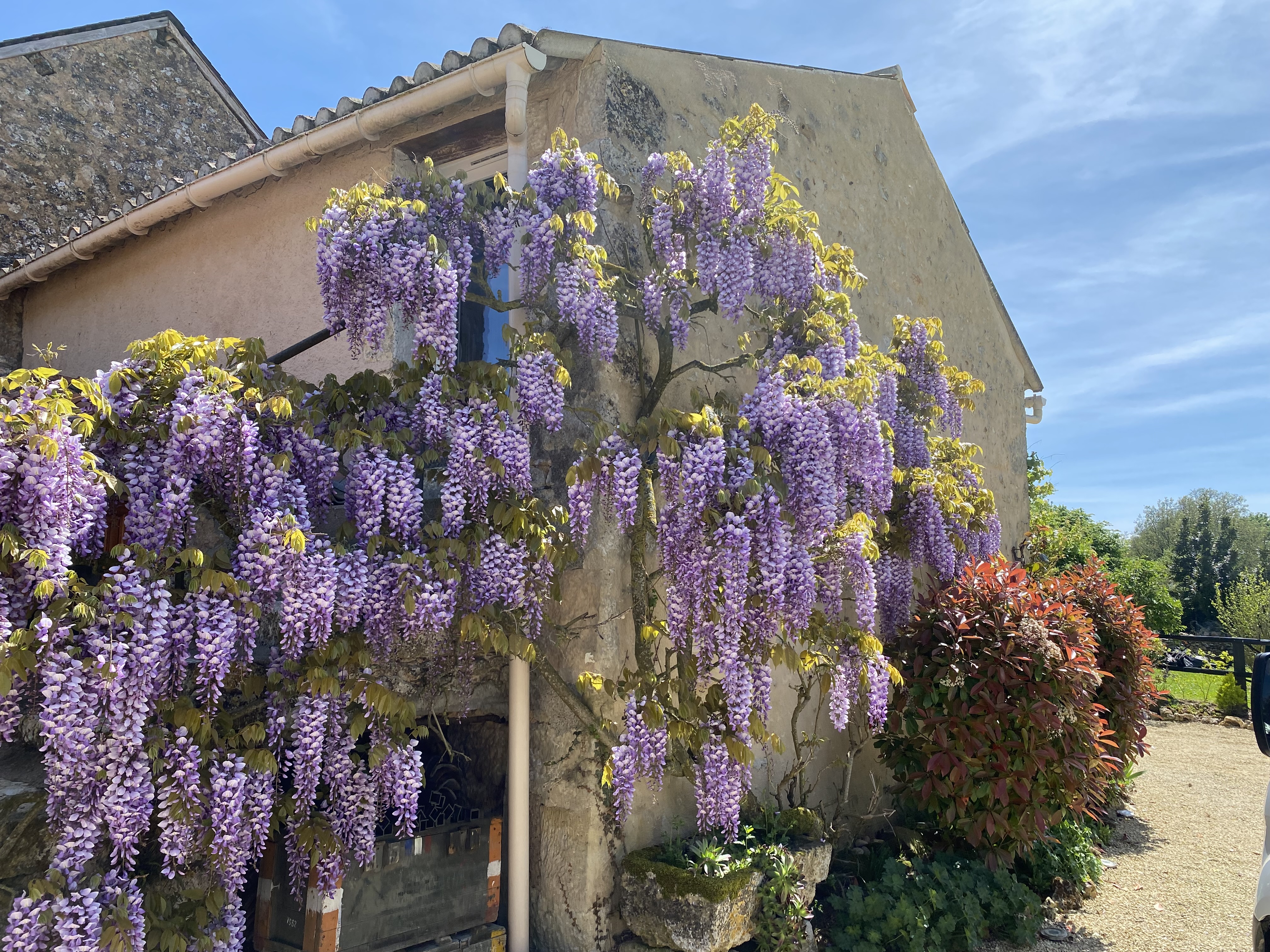 Le Petit Cottage, Assais-les-Jumeaux