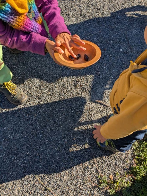 Balades nature pour les tout-petits (de 0 à 3 ans), Le Fieu - photo 2