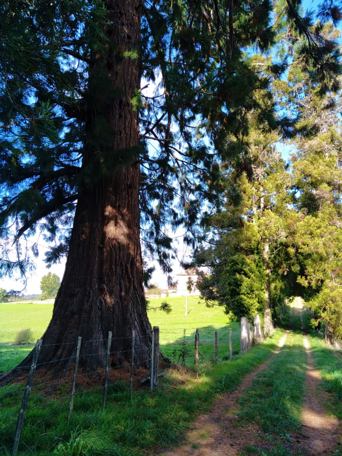 Circuit des 3 Puys, Champnétery - photo 3