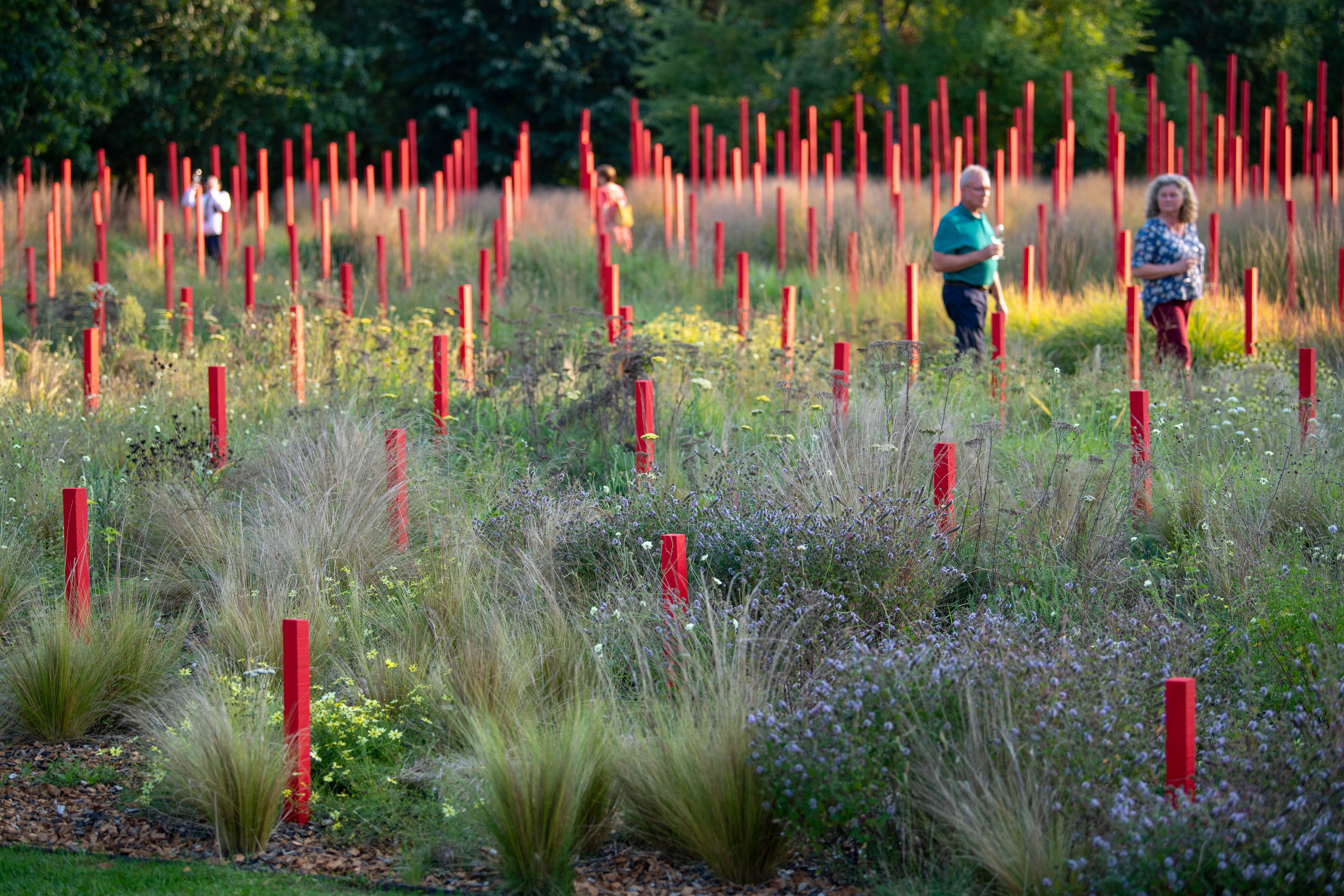 Château Larrivet Haut-Brion - photo 2