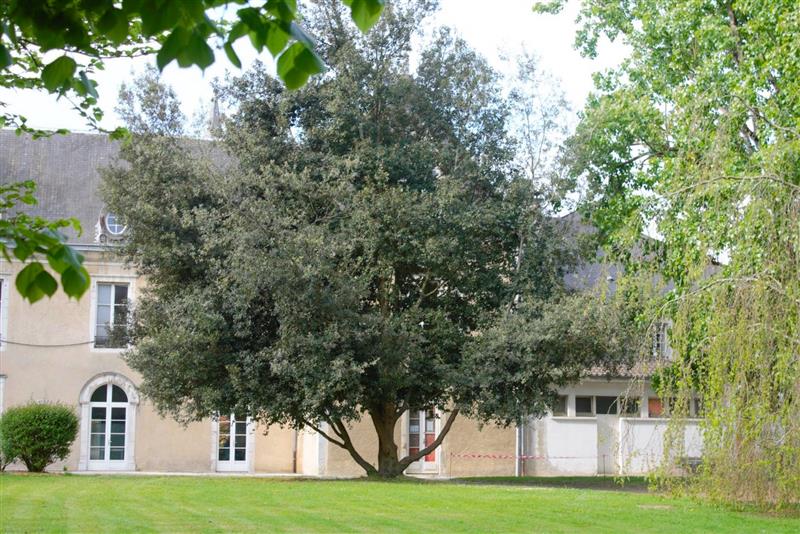 Parcours Arbres Exceptionnels