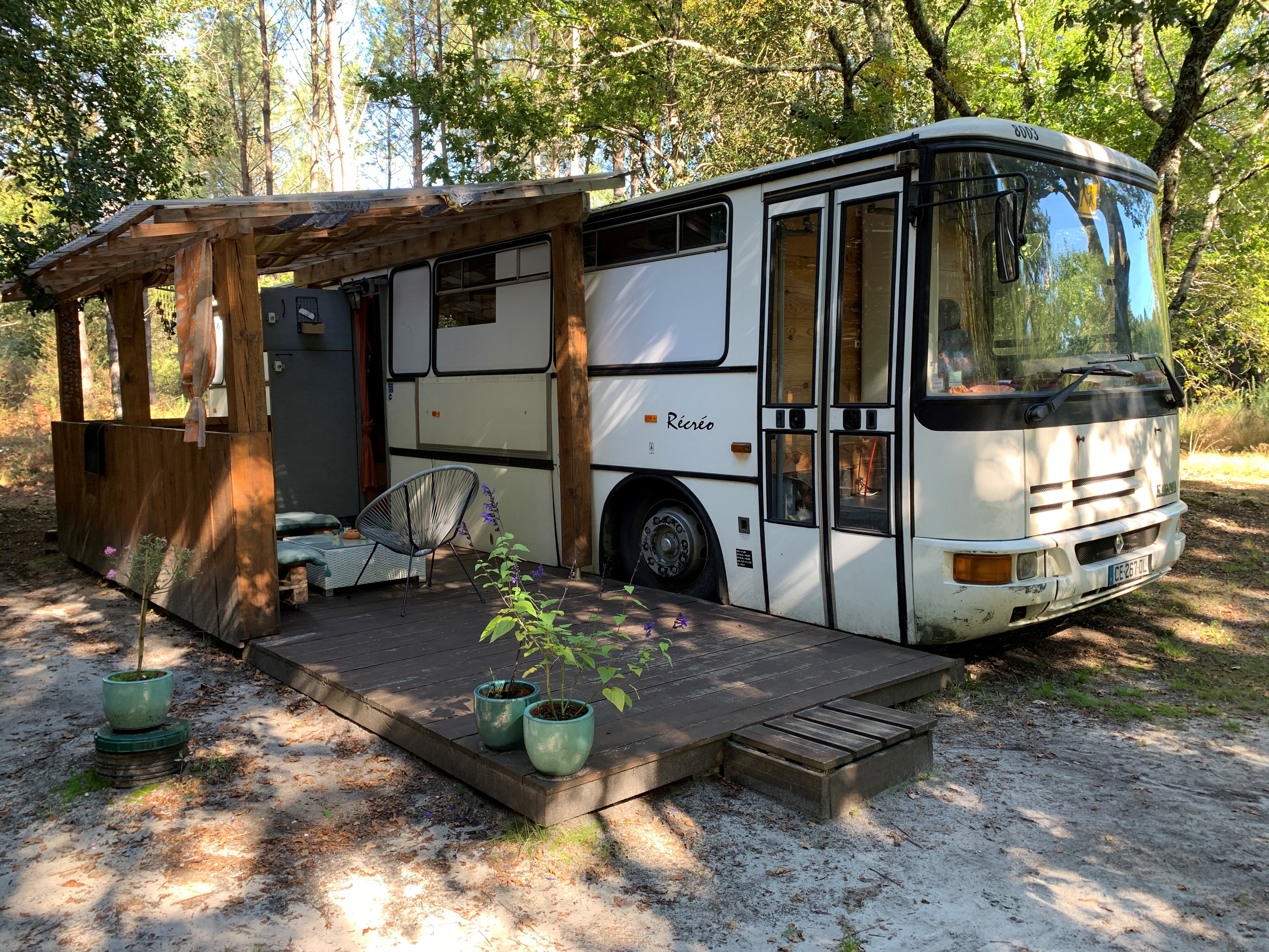 Into the Wild, Belin-Béliet