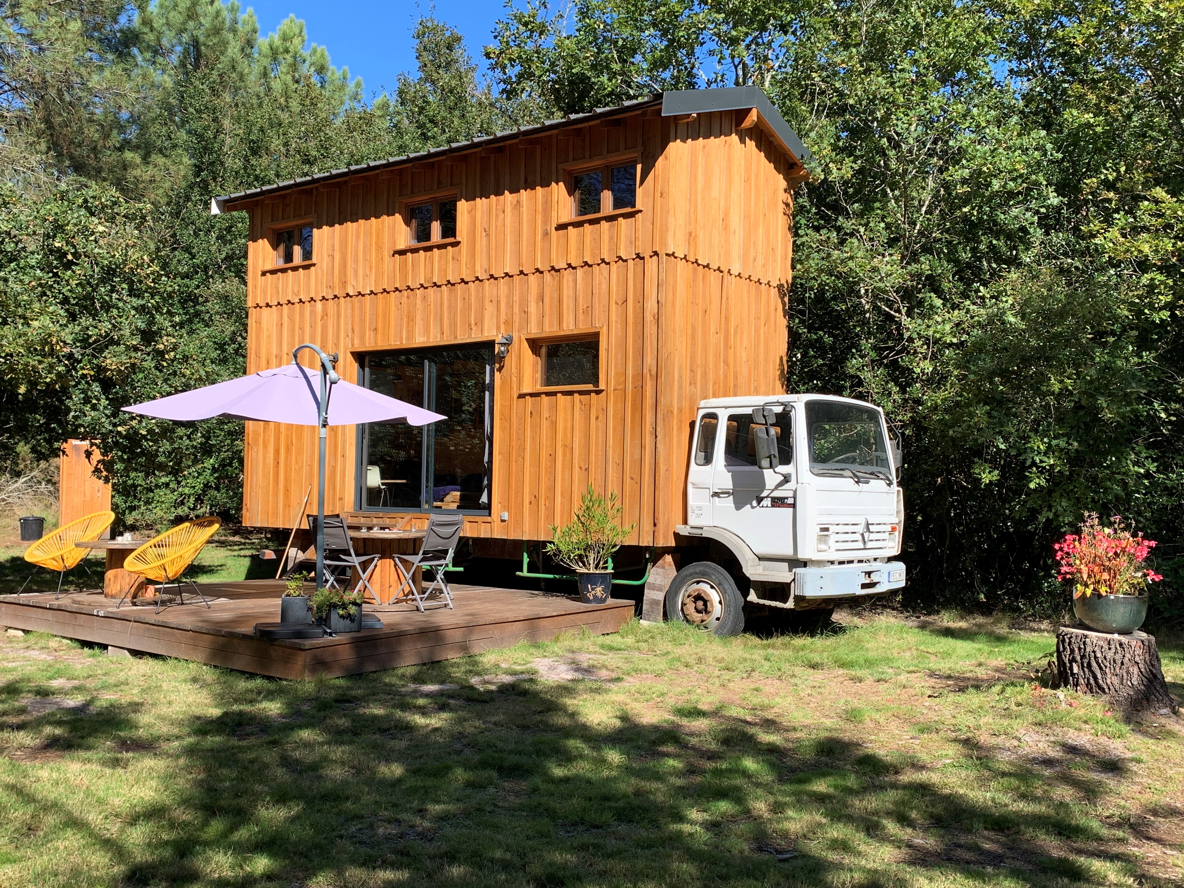 Into the Wild, Belin-Béliet - photo 2
