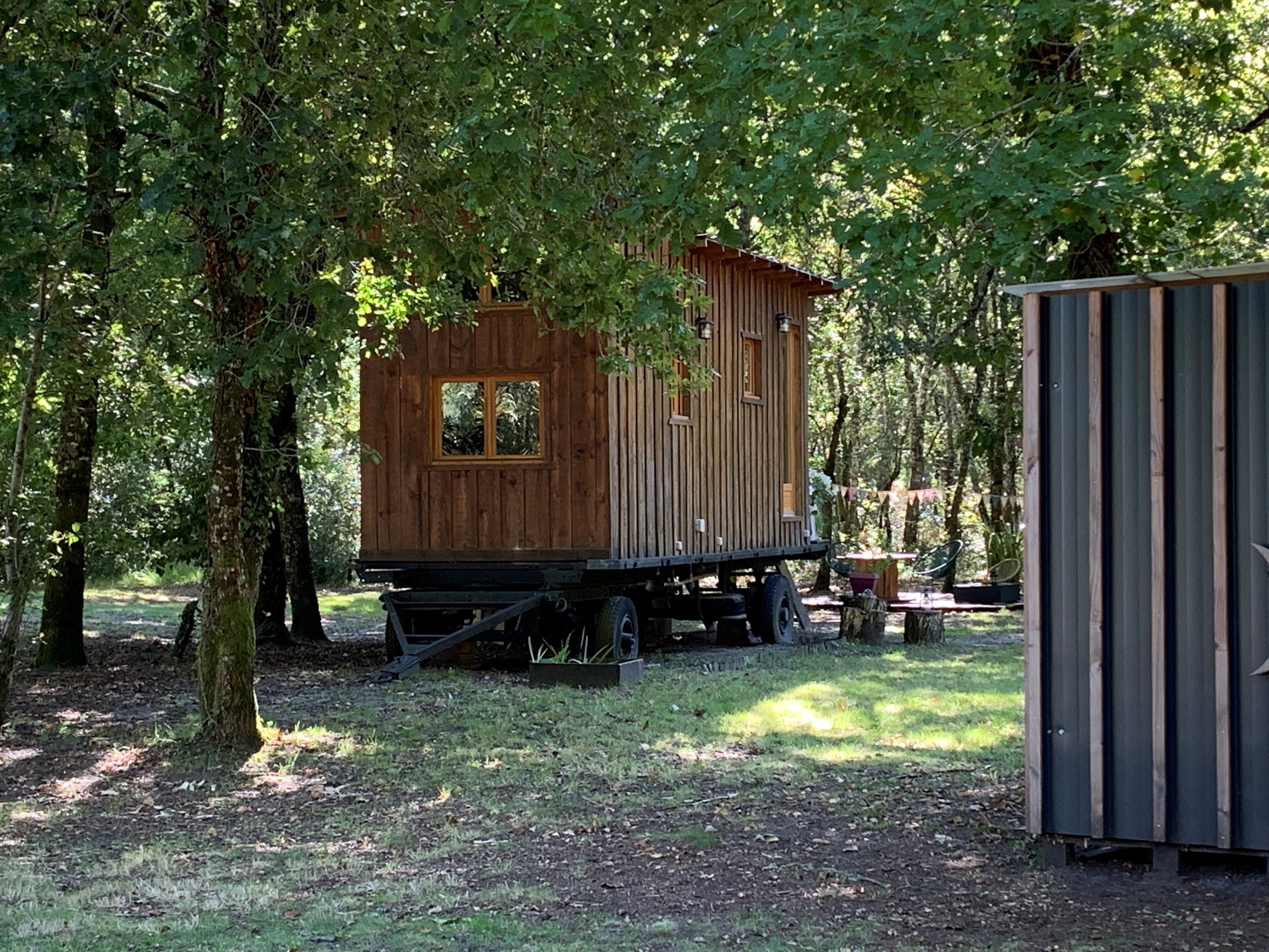 Into the Wild, Belin-Béliet - photo 3