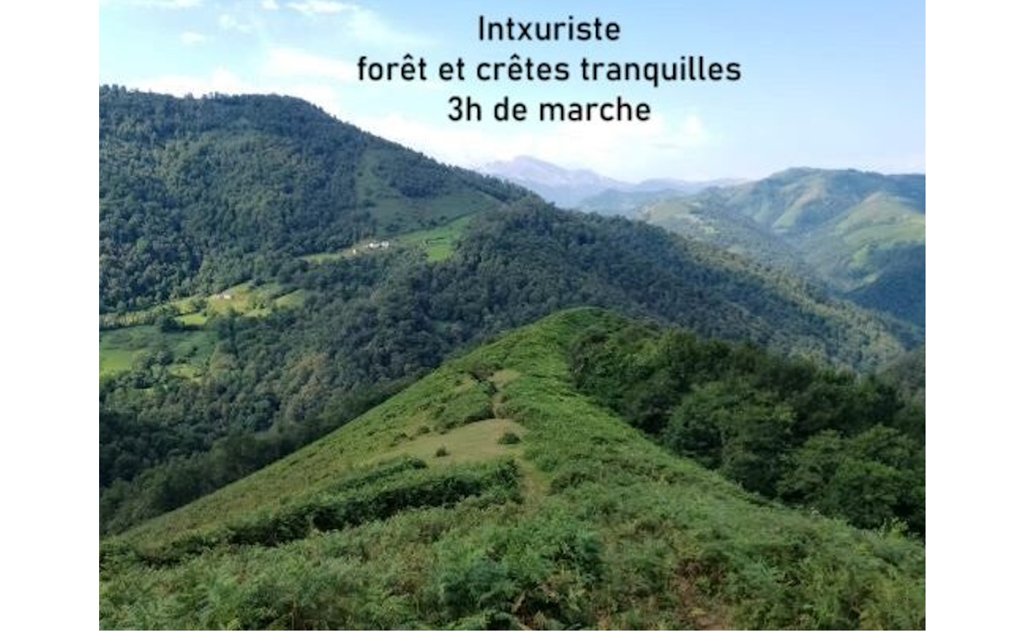 Scarabée - Accompagnatrice montagne