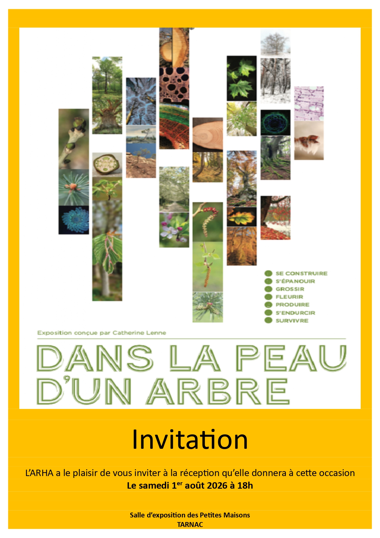 Exposition : Dans la peau d'un arbre
