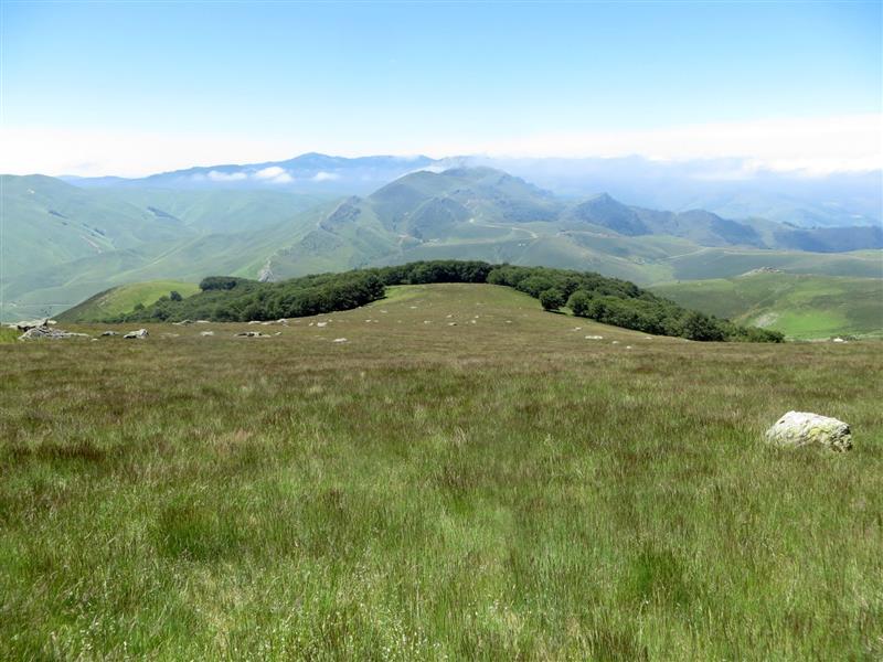 Les cromlechs d'Occabé