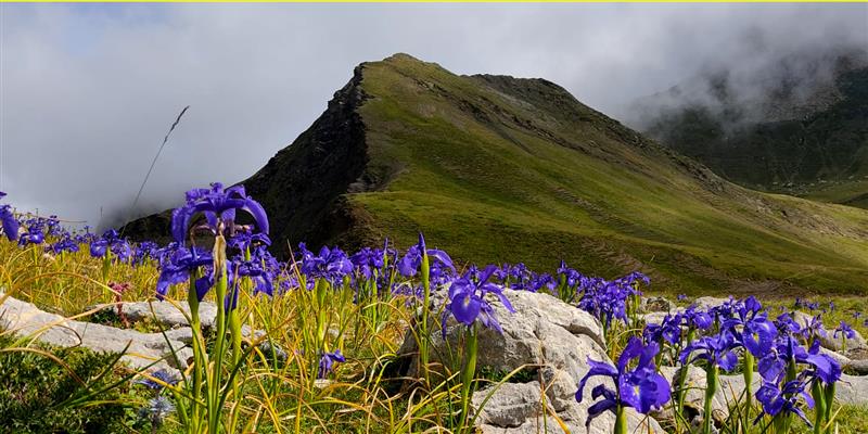 Monsieur Anaël BONGRAND - Accompagnateur en montagne