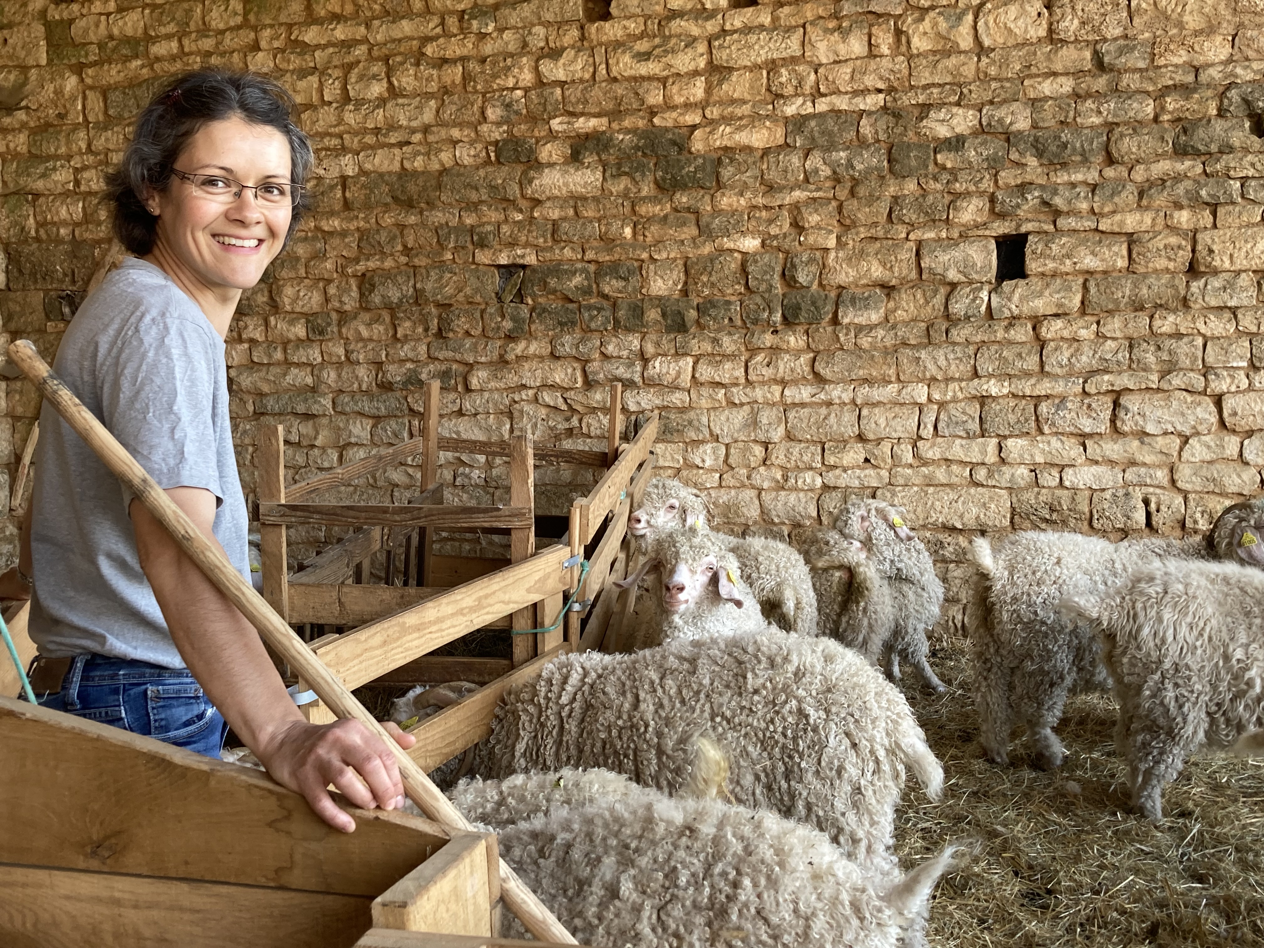 Mohair du Mellois - La Ferme des Groies, Marcillé - photo 2