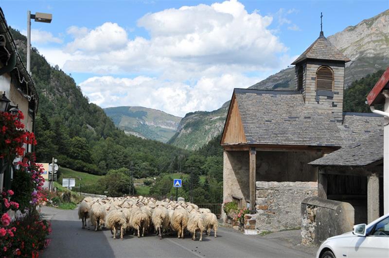 De Laruns à Gabas