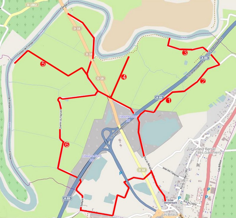 Marais des Brizards, Les Billaux - photo 12