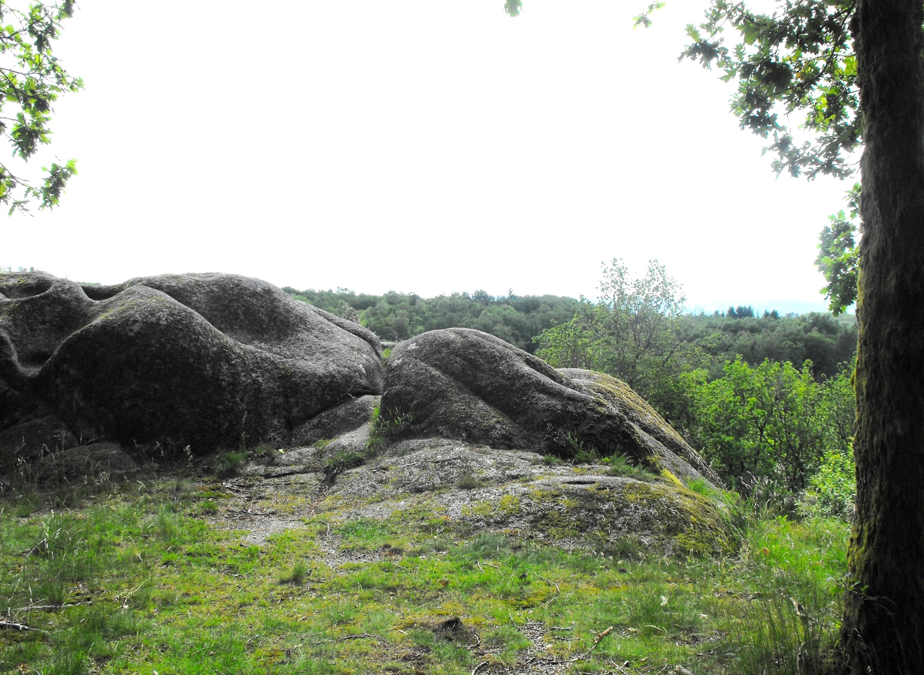 Point de vue - Le Puy des Roches, Jabreilles-les-Bordes - photo 2
