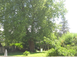 Chai Merlot, Saint-Cyprien - photo 6