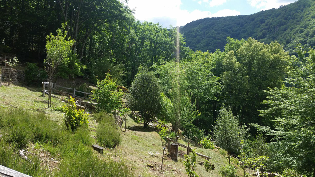 Le jardin de Bardot, Marcillac-la-Croisille - photo 4