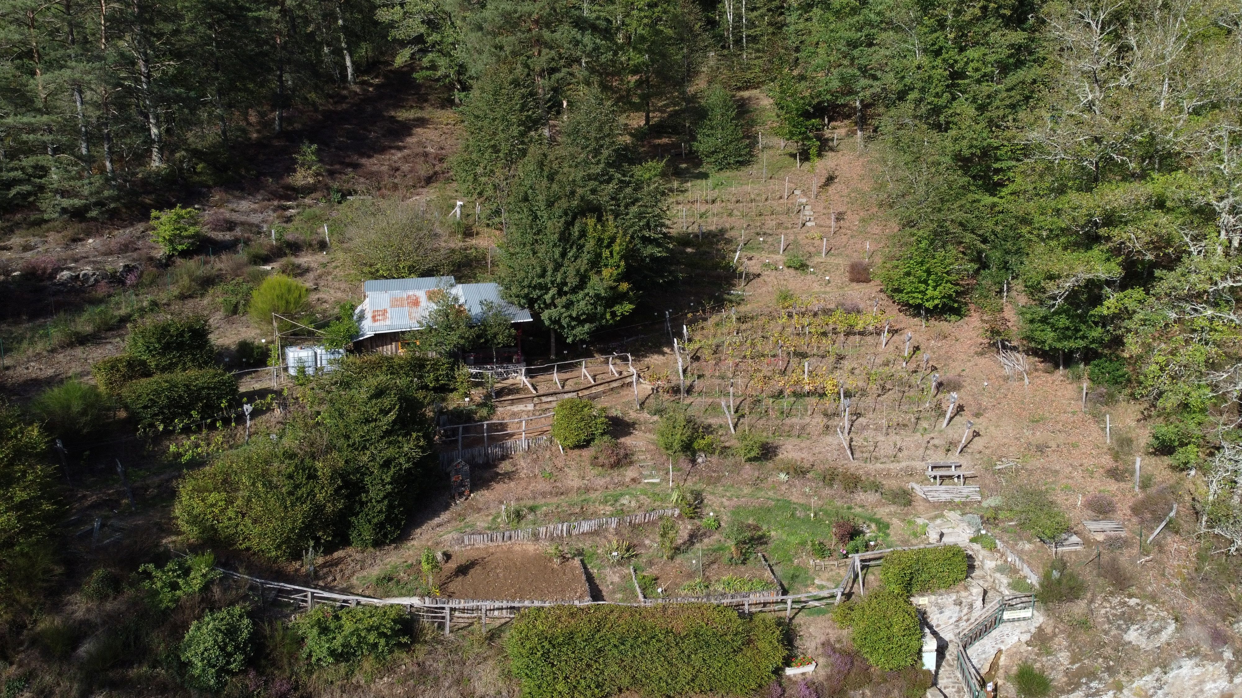 Les gorges de la Luzège, Saint-Pantaléon-de-Lapleau - photo 6
