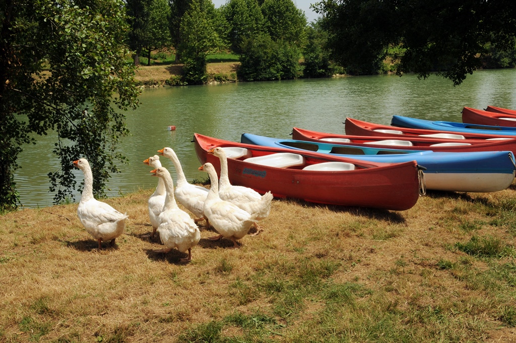 Fleuve Adour, Saint-Sever - photo 6