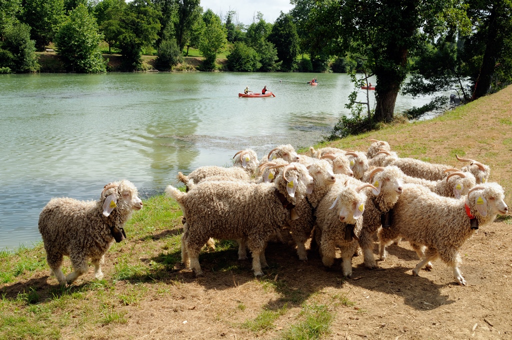 Fleuve Adour - photo 2