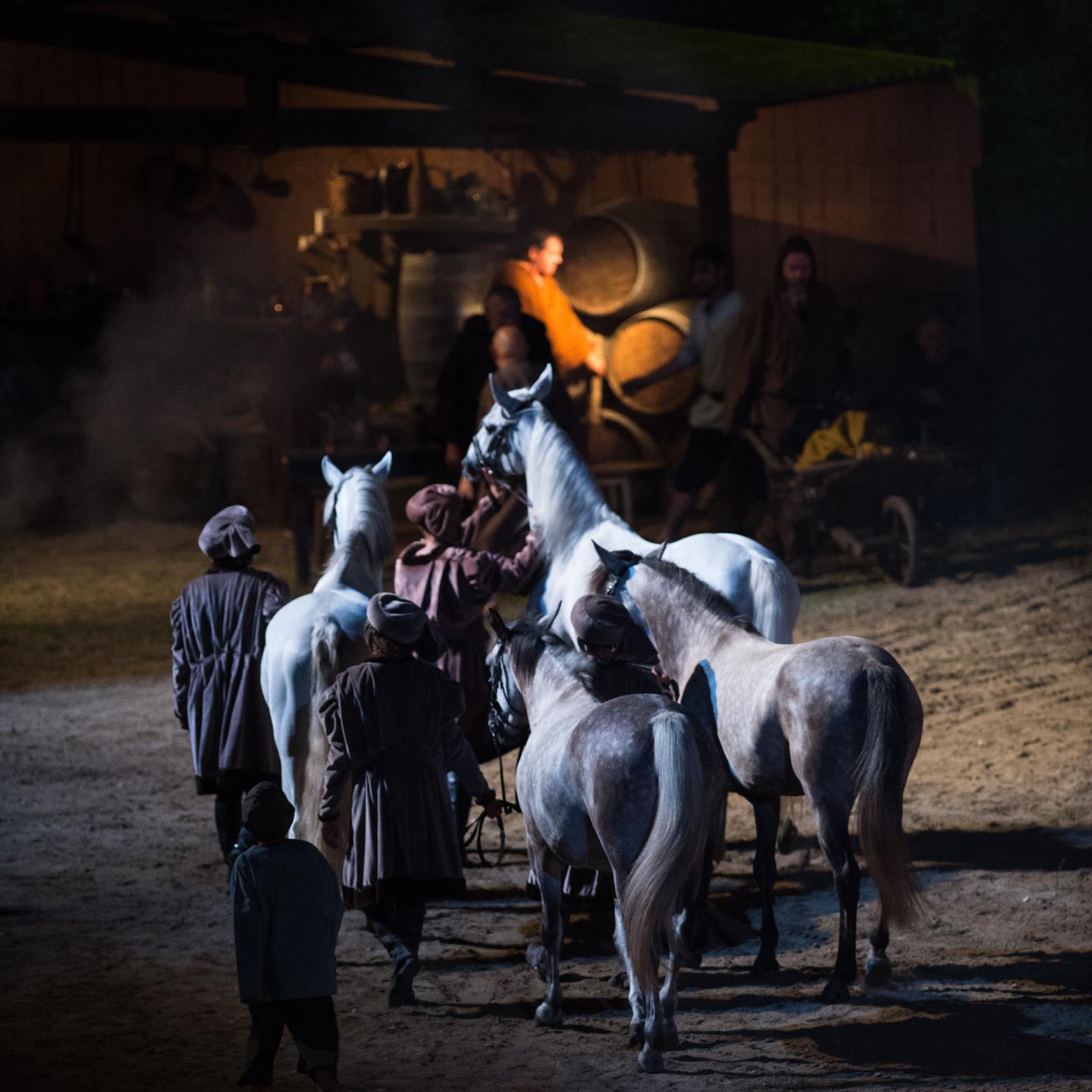 Spectacle La Bataille de Castillon, Castillon-la-Bataille - photo 11