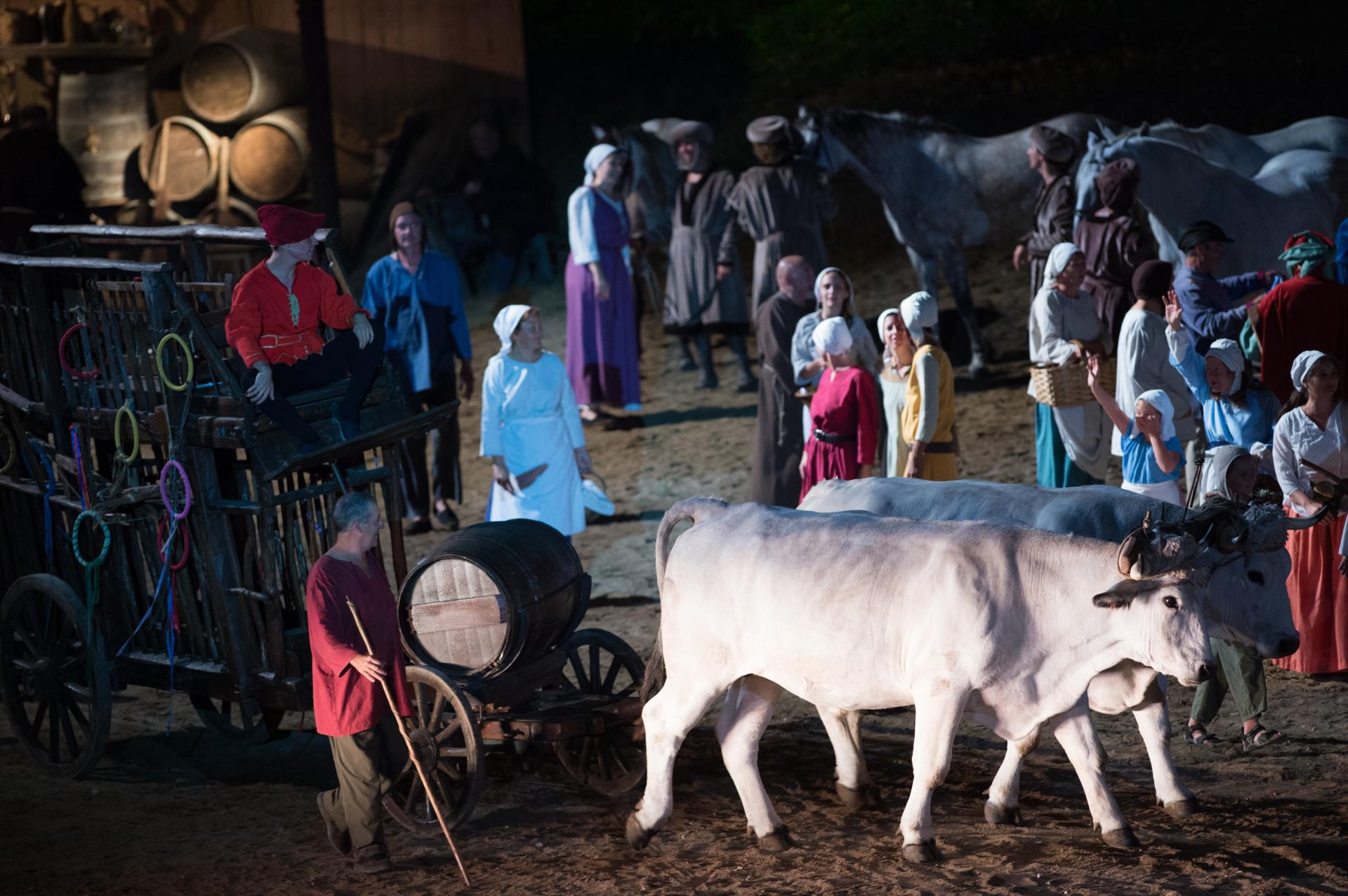 Spectacle La Bataille de Castillon, Castillon-la-Bataille - photo 5
