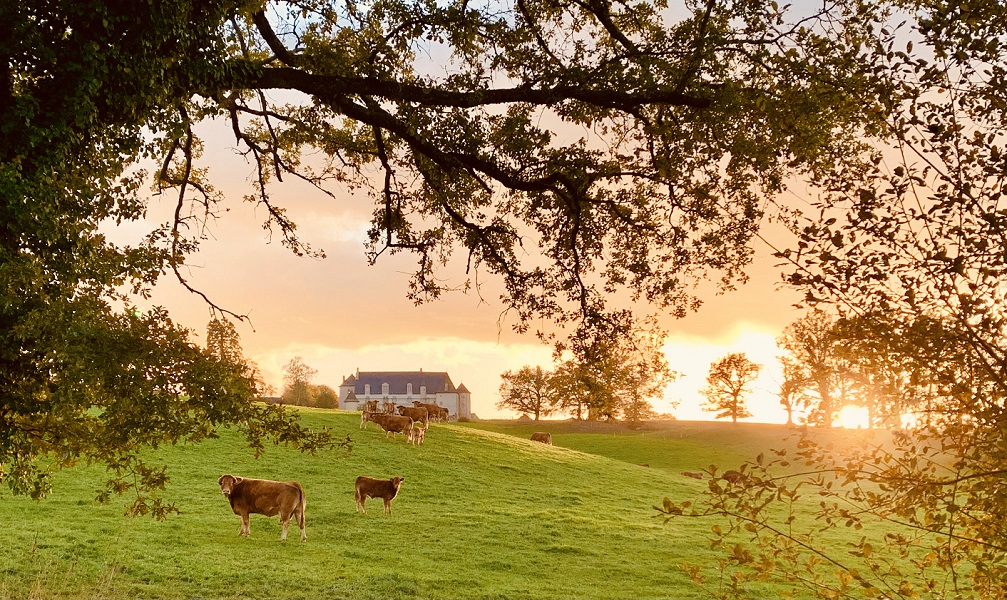 Château du Chambon, Bersac-sur-Rivalier - photo 2