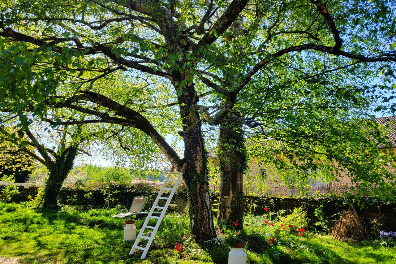 Jardin Fauves