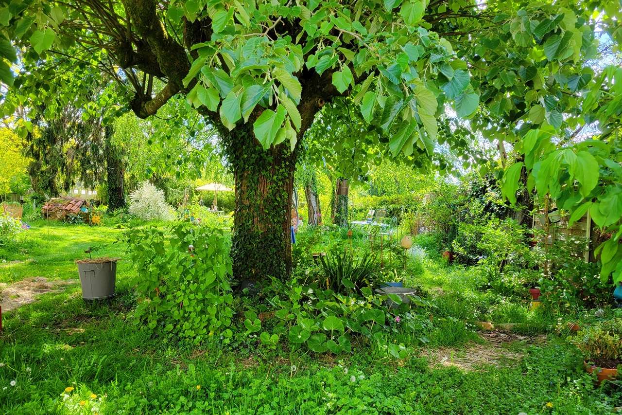 Jardin Fauves, Vayres - photo 6
