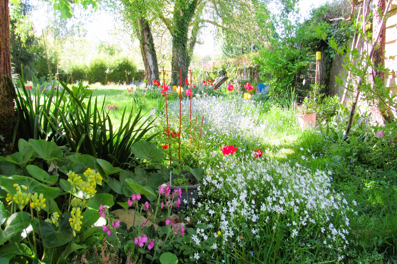 Jardin Fauves