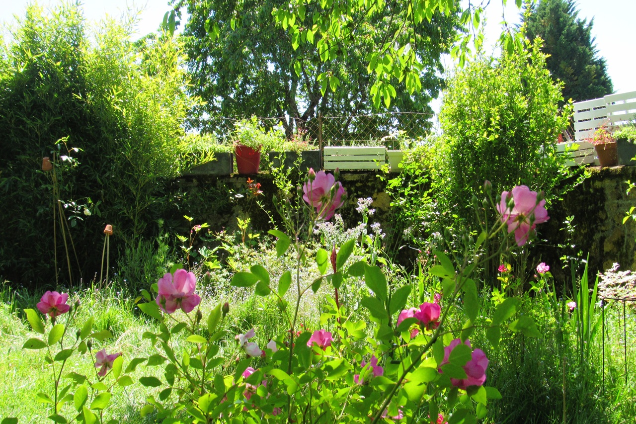 Jardin Fauves, Vayres - photo 5