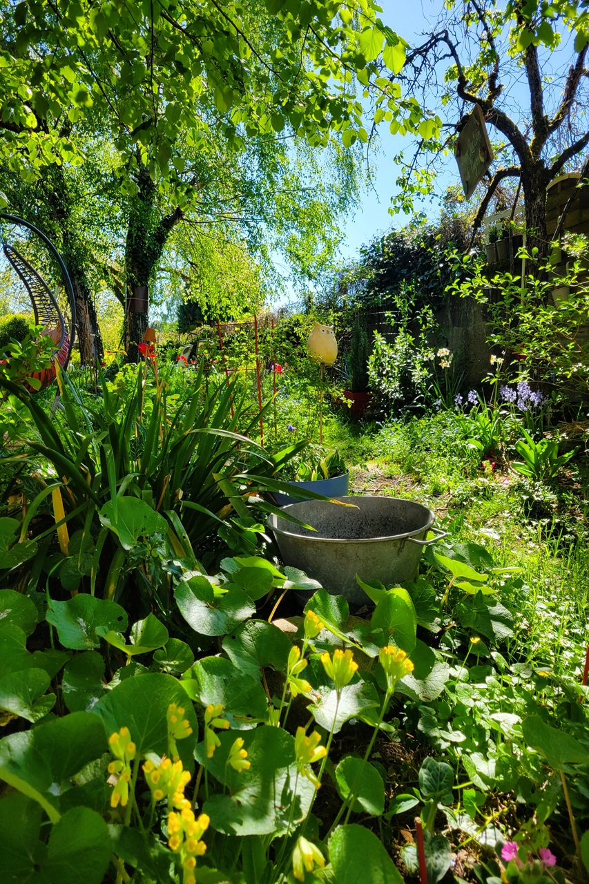 Jardin Fauves