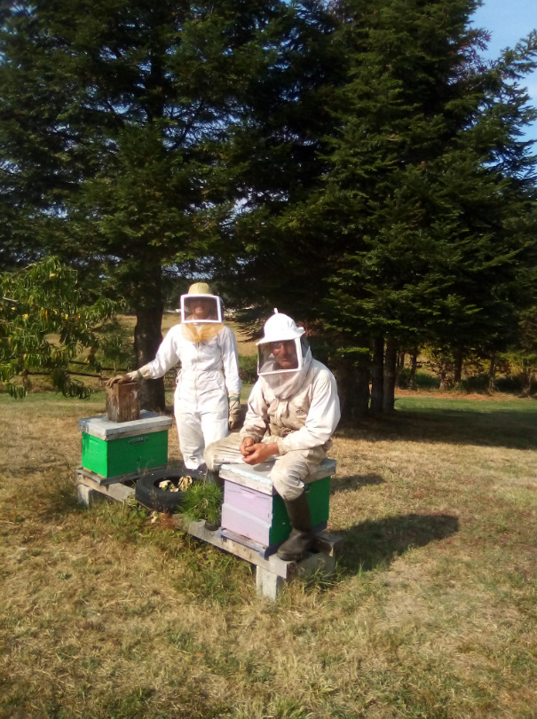 Apiculture Bobineau - photo 3